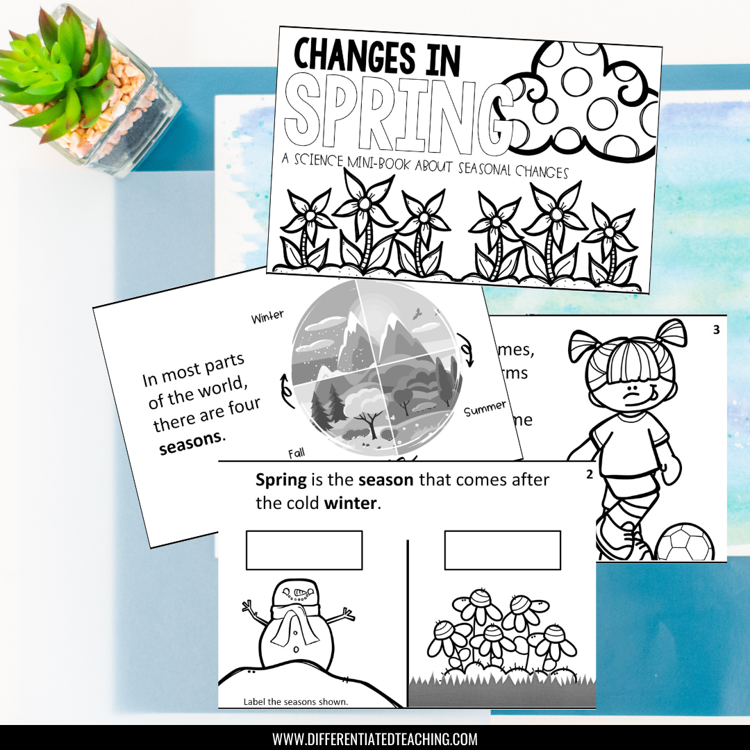 1st Grade Sub Plan Bundle: Emergency Substitute Plans for the Whole School Year - Differentiated Teaching with Rebecca Davies