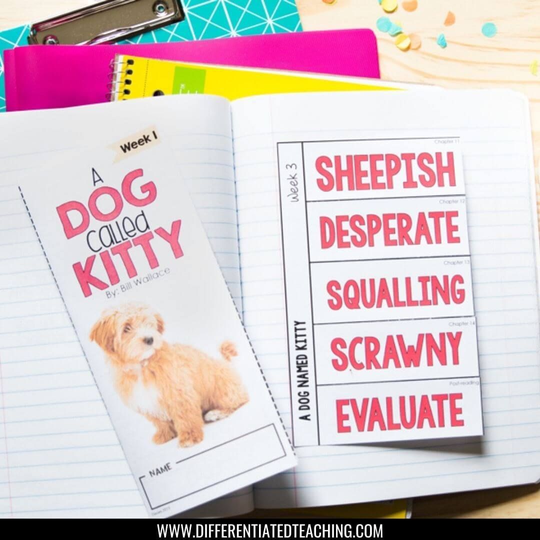 A Dog Called Kitty Novel Study - Differentiated Teaching with Rebecca Davies