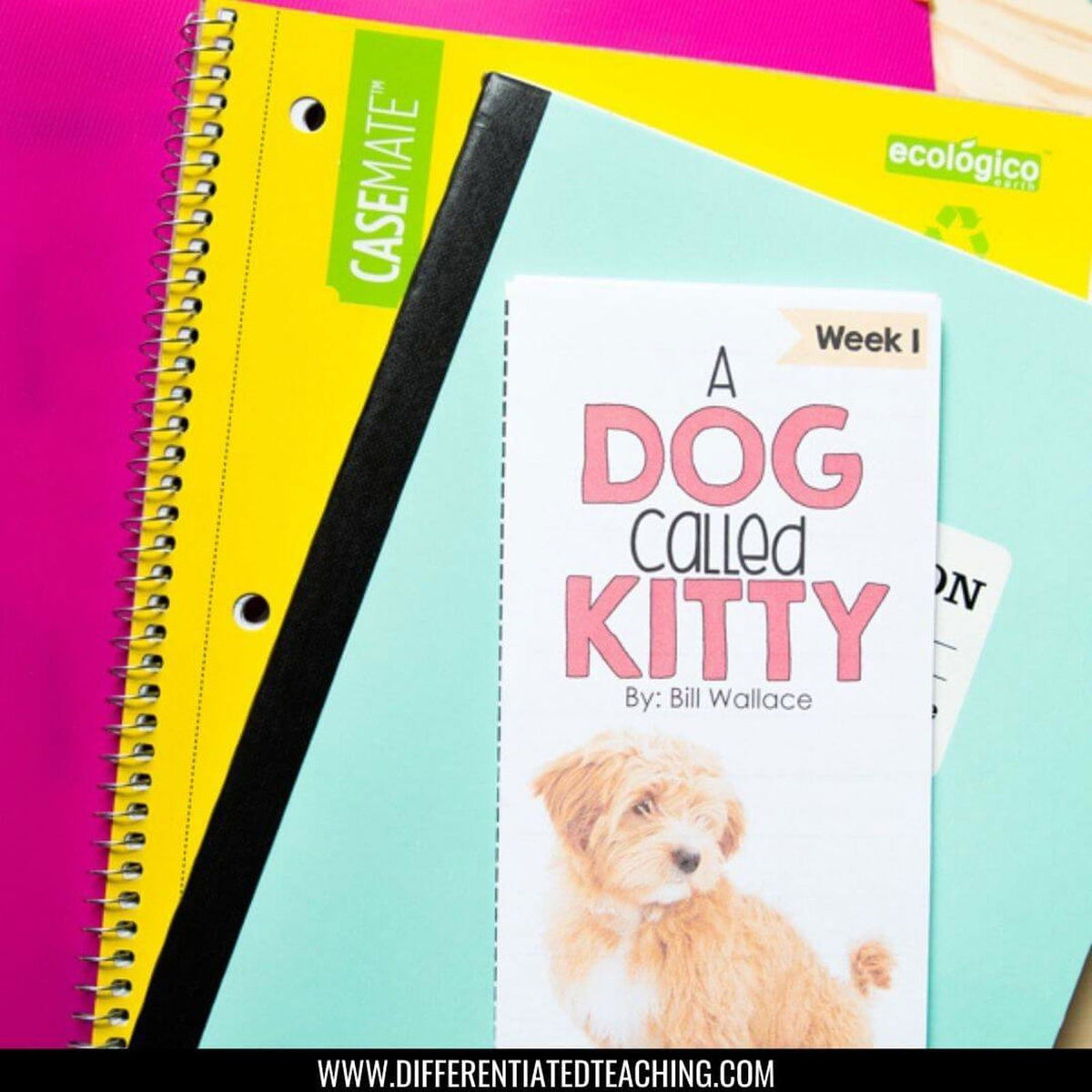 A Dog Called Kitty Novel Study - Differentiated Teaching with Rebecca Davies