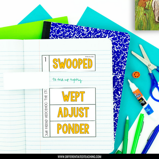 Our Friend Hedgehog Novel Study - Differentiated Teaching with Rebecca Davies