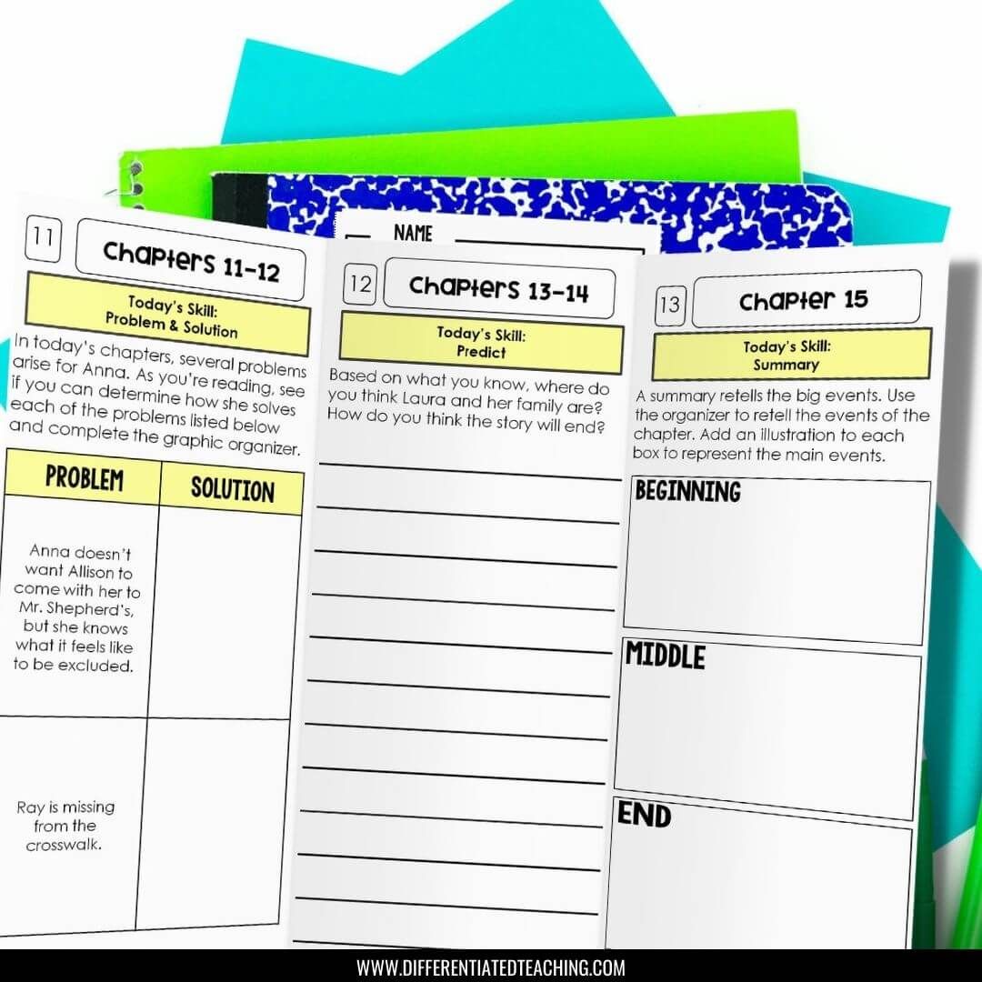 The Year of the Book Novel Unit - Differentiated Teaching with Rebecca Davies