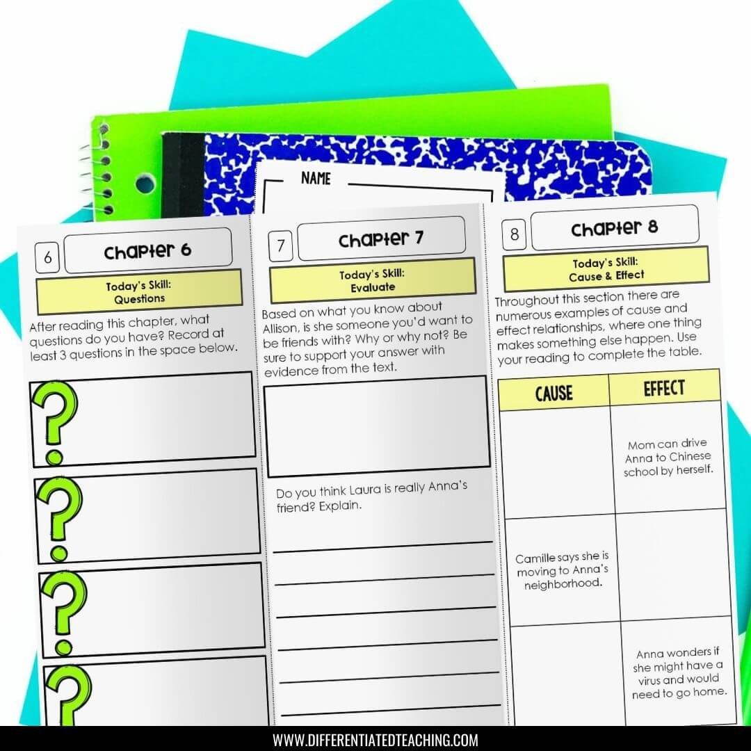 The Year of the Book Novel Unit - Differentiated Teaching with Rebecca Davies
