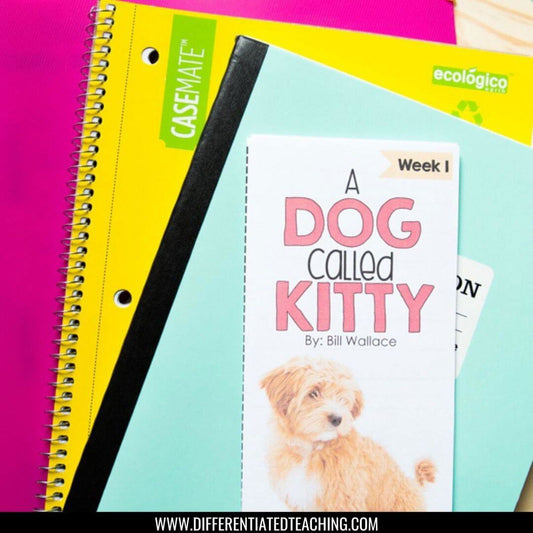 A Dog Called Kitty Novel Study - Differentiated Teaching with Rebecca Davies