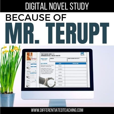 Because of Mr. Terupt Novel Study - Differentiated Teaching with Rebecca Davies