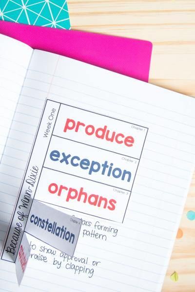 Because of Winn-Dixie Novel Study - Differentiated Teaching with Rebecca Davies