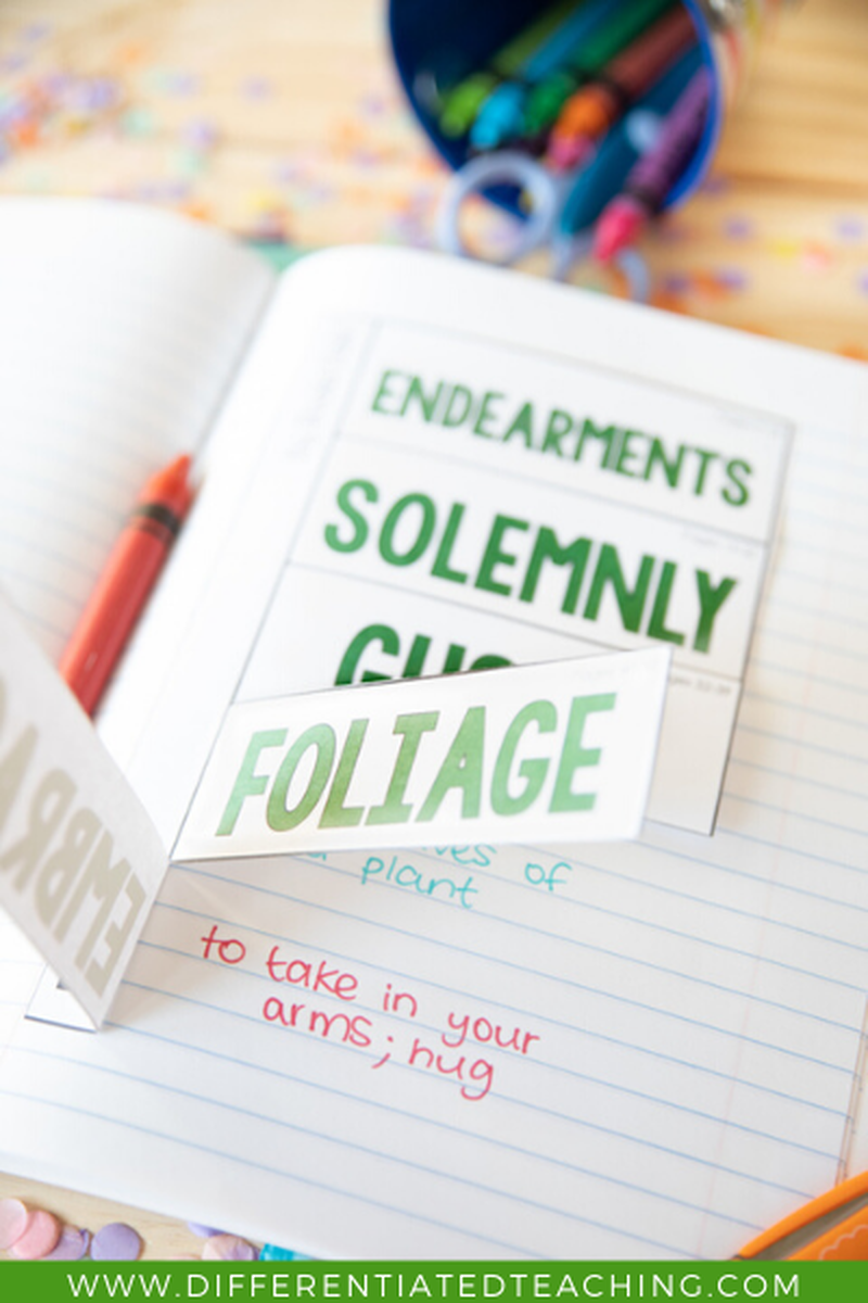 Bob Novel Study - Differentiated Teaching with Rebecca Davies