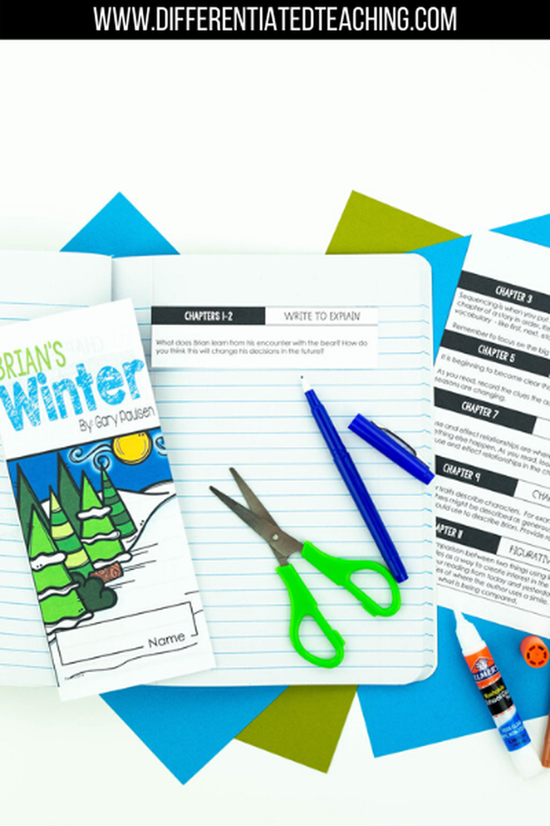 Brian's Winter Novel Study - Differentiated Teaching with Rebecca Davies