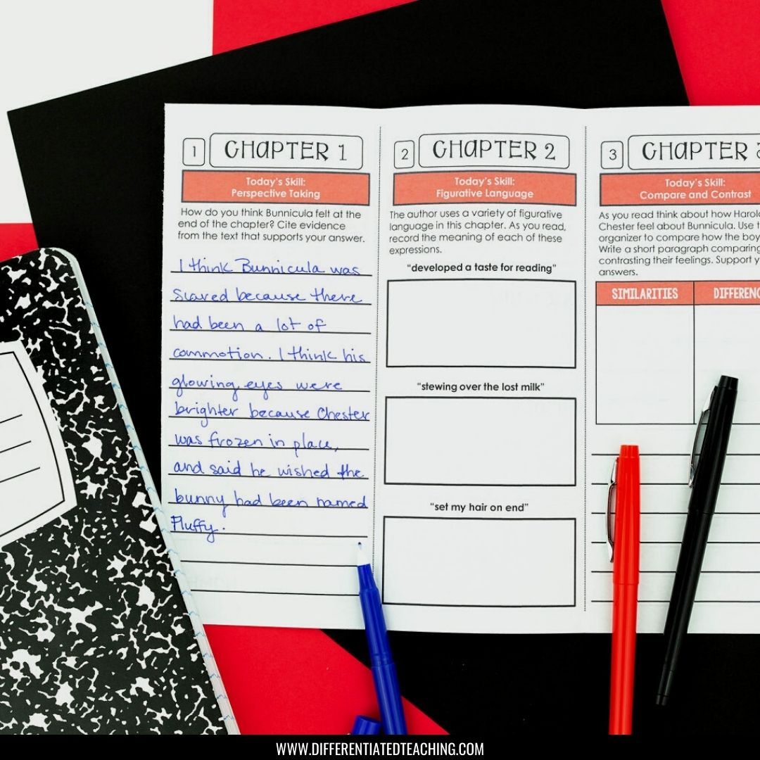 Bunnicula Comprehension Questions