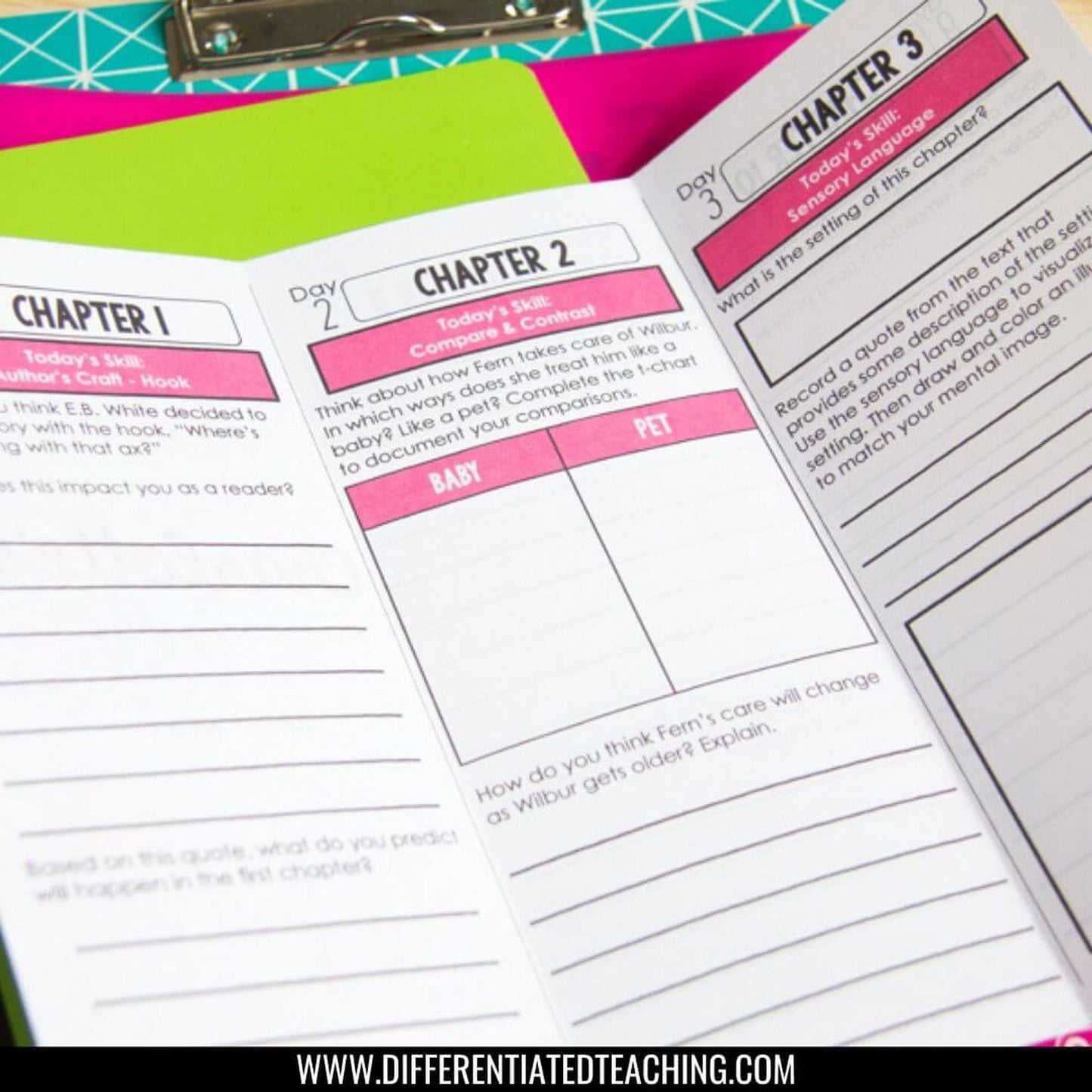 Charlotte's Web Novel Study - Differentiated Teaching with Rebecca Davies