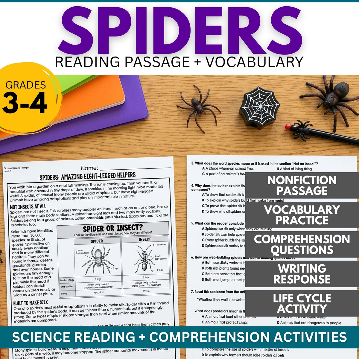 Spiders Reading Comprehension Passage & Vocabulary for grades 3–4, featuring a spider reading passage, a comparison diagram of a spider versus an insect, and multiple-choice comprehension questions.