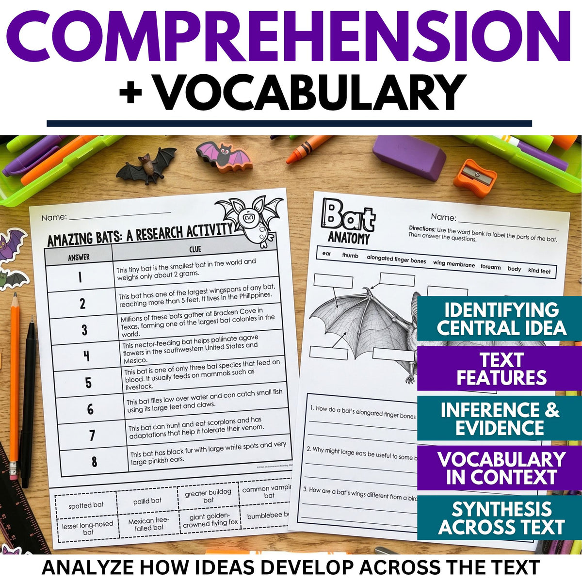 Two worksheets for Bats Reading Comprehension Passage & Vocabulary | Grades 3–4 featuring a numbered bat research chart, a word bank, a bat anatomy diagram, and space for reading comprehension questions and answers.