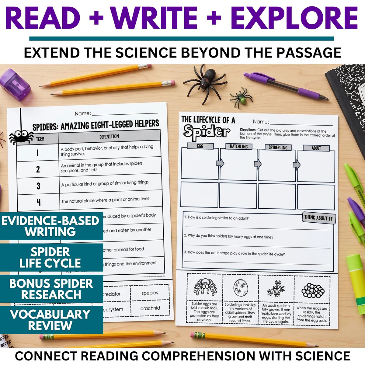 Two Spiders Reading Comprehension Passage & Vocabulary | Grades 3–4 worksheets on a wooden desk, one featuring a vocabulary table and the other a 3rd–4th grade nonfiction cut-and-paste life cycle activity.