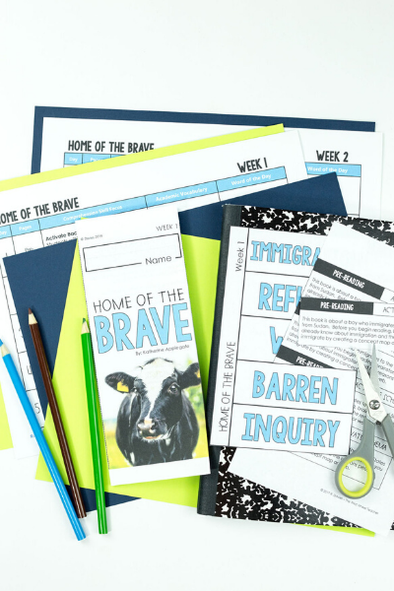 Home of the Brave Novel Study - Differentiated Teaching with Rebecca Davies