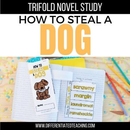 How to Steal a Dog Novel Study - Differentiated Teaching with Rebecca Davies