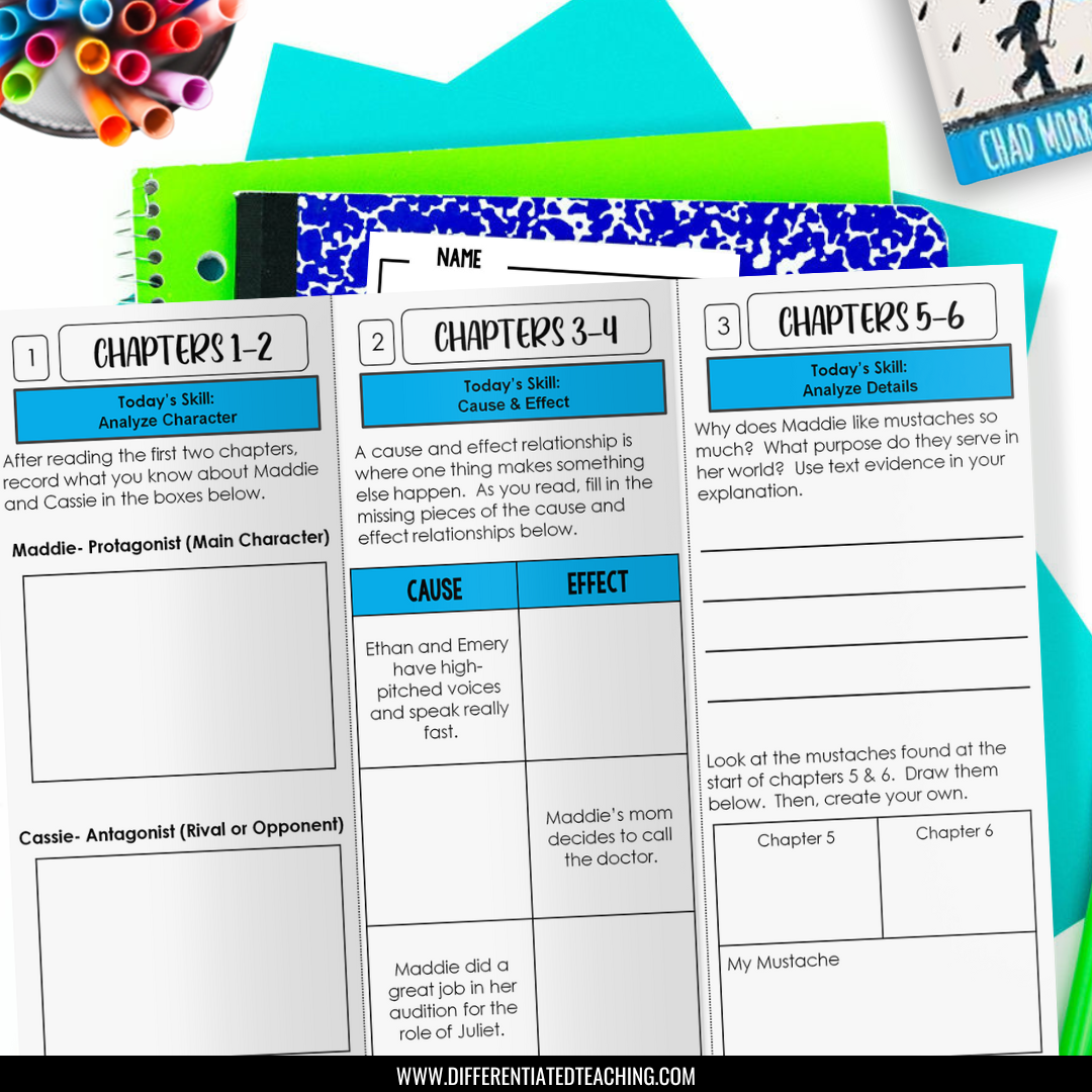 Mustaches for Maddie Novel Study Unit - Differentiated Teaching with Rebecca Davies