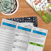 Our Friend Hedgehog Novel Study - Differentiated Teaching with Rebecca Davies