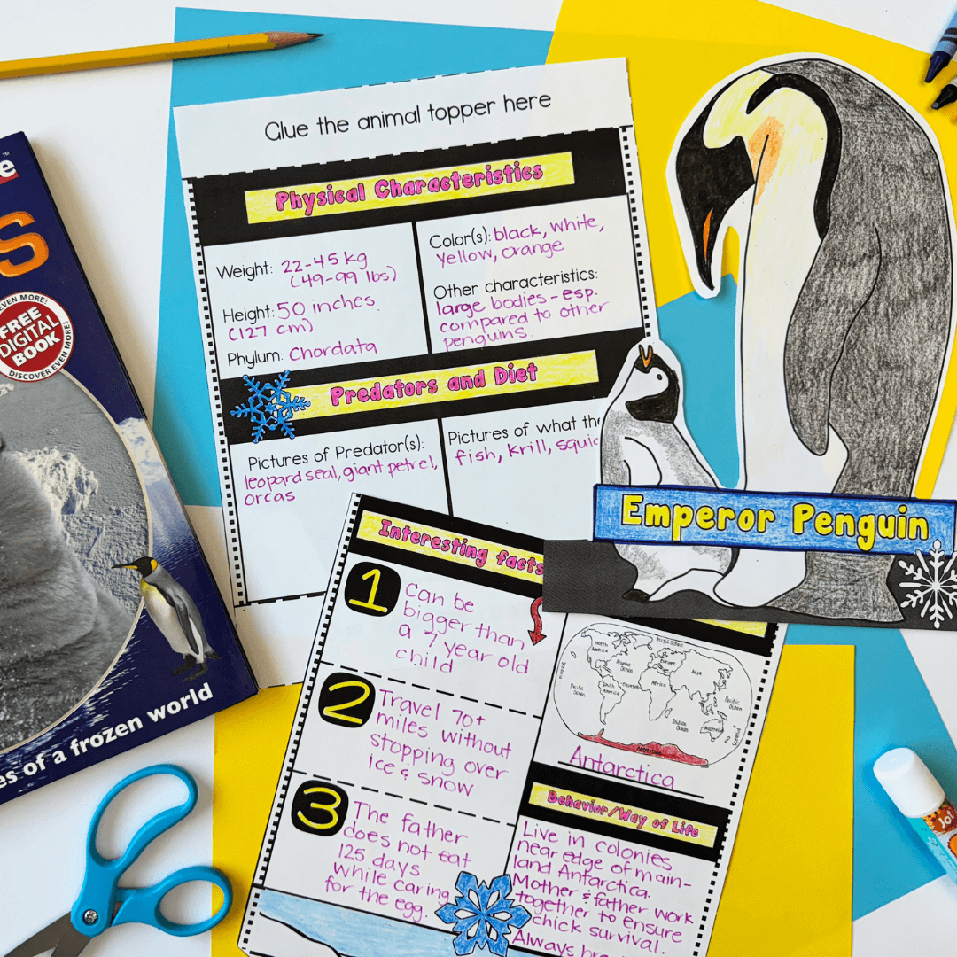 The Penguin Research Report Project: Polar Animal Writing Craft by Differentiated Teaching with Rebecca Davies includes a fact sheet, penguin cutouts, scissors, pencil, and Frozen World book—ideal for penguin research or polar animal posters.