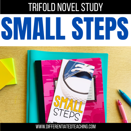 Small Steps Novel Study - Differentiated Teaching with Rebecca Davies