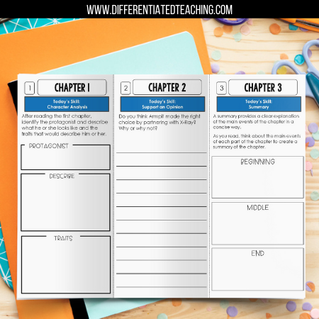 Small Steps Novel Study - Differentiated Teaching with Rebecca Davies