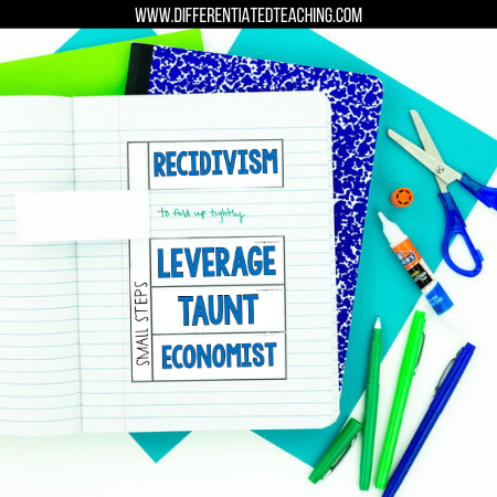 Small Steps Novel Study - Differentiated Teaching with Rebecca Davies