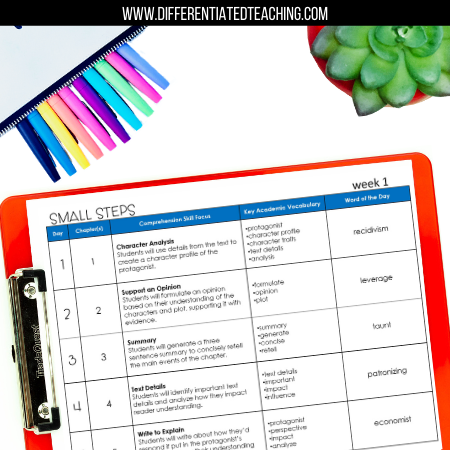 Small Steps Novel Study - Differentiated Teaching with Rebecca Davies