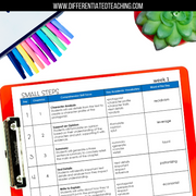 Small Steps Novel Study - Differentiated Teaching with Rebecca Davies