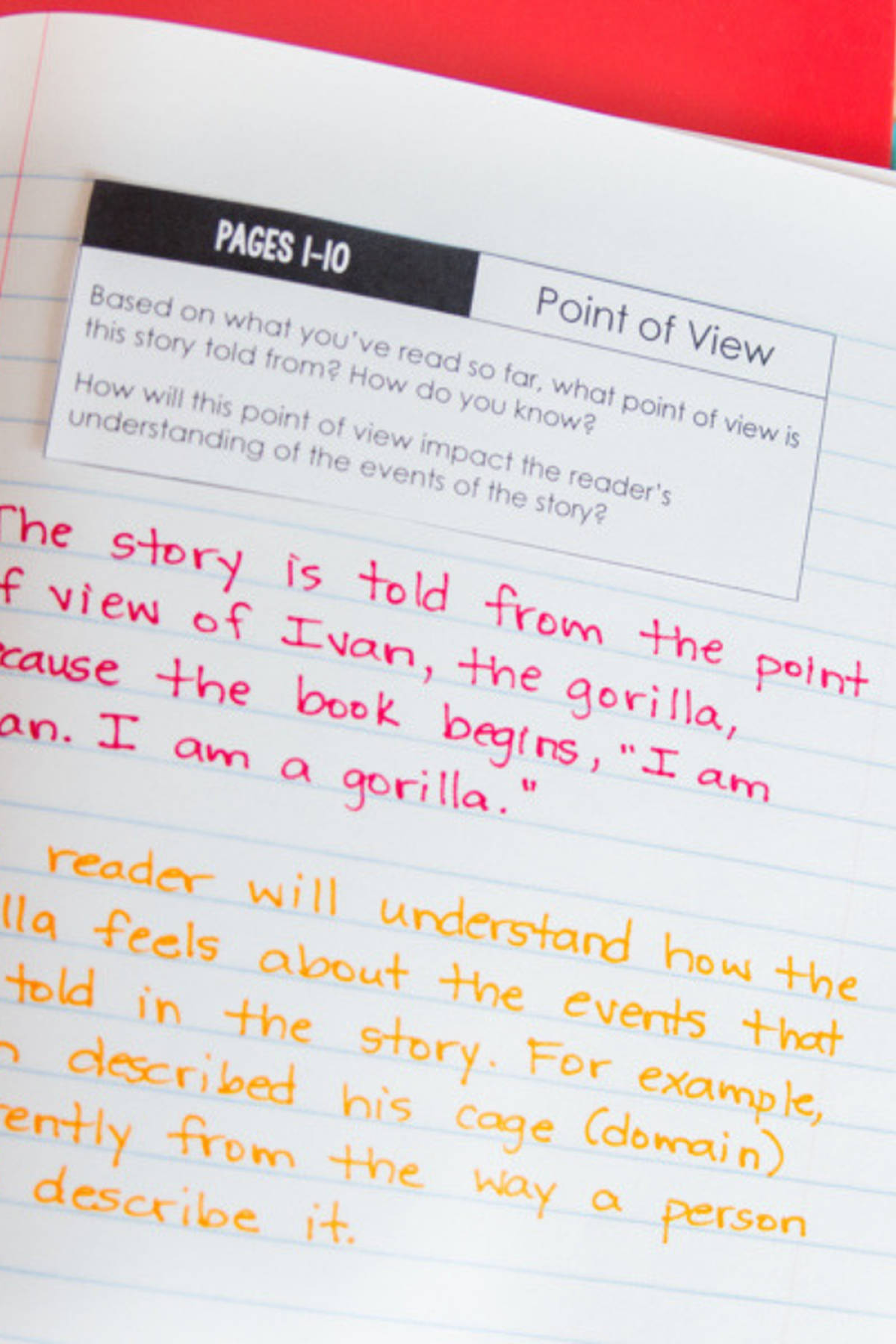 The One and Only Ivan Novel Study - Differentiated Teaching with Rebecca Davies