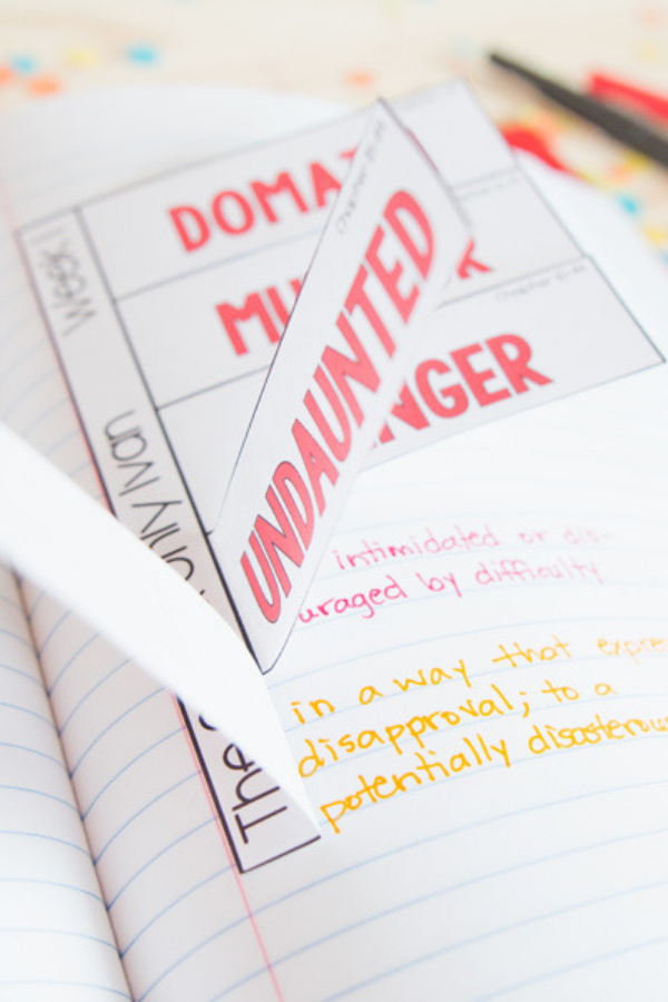 The One and Only Ivan Novel Study - Differentiated Teaching with Rebecca Davies
