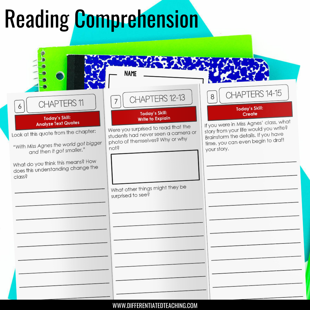 The Year of Miss Agnes Novel Study - Differentiated Teaching with Rebecca Davies