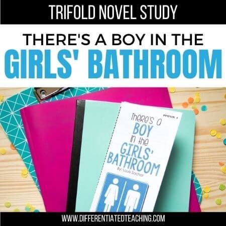 There's a Boy in the Girls' Bathroom Novel Study - Differentiated Teaching with Rebecca Davies