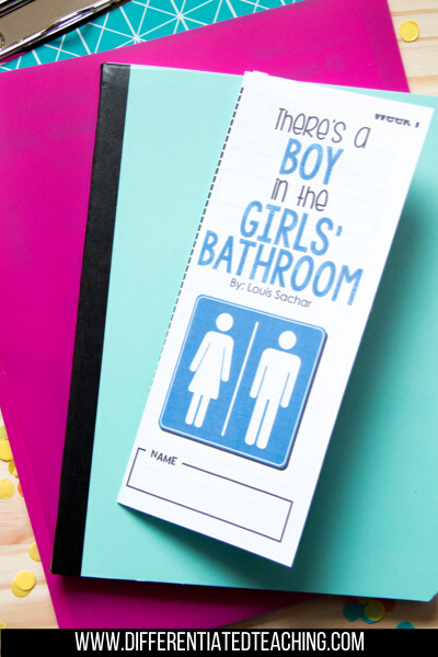 There's a Boy in the Girls' Bathroom Novel Study - Differentiated Teaching with Rebecca Davies
