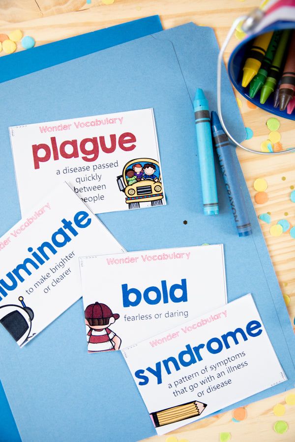 Wonder Novel Study - Differentiated Teaching with Rebecca Davies